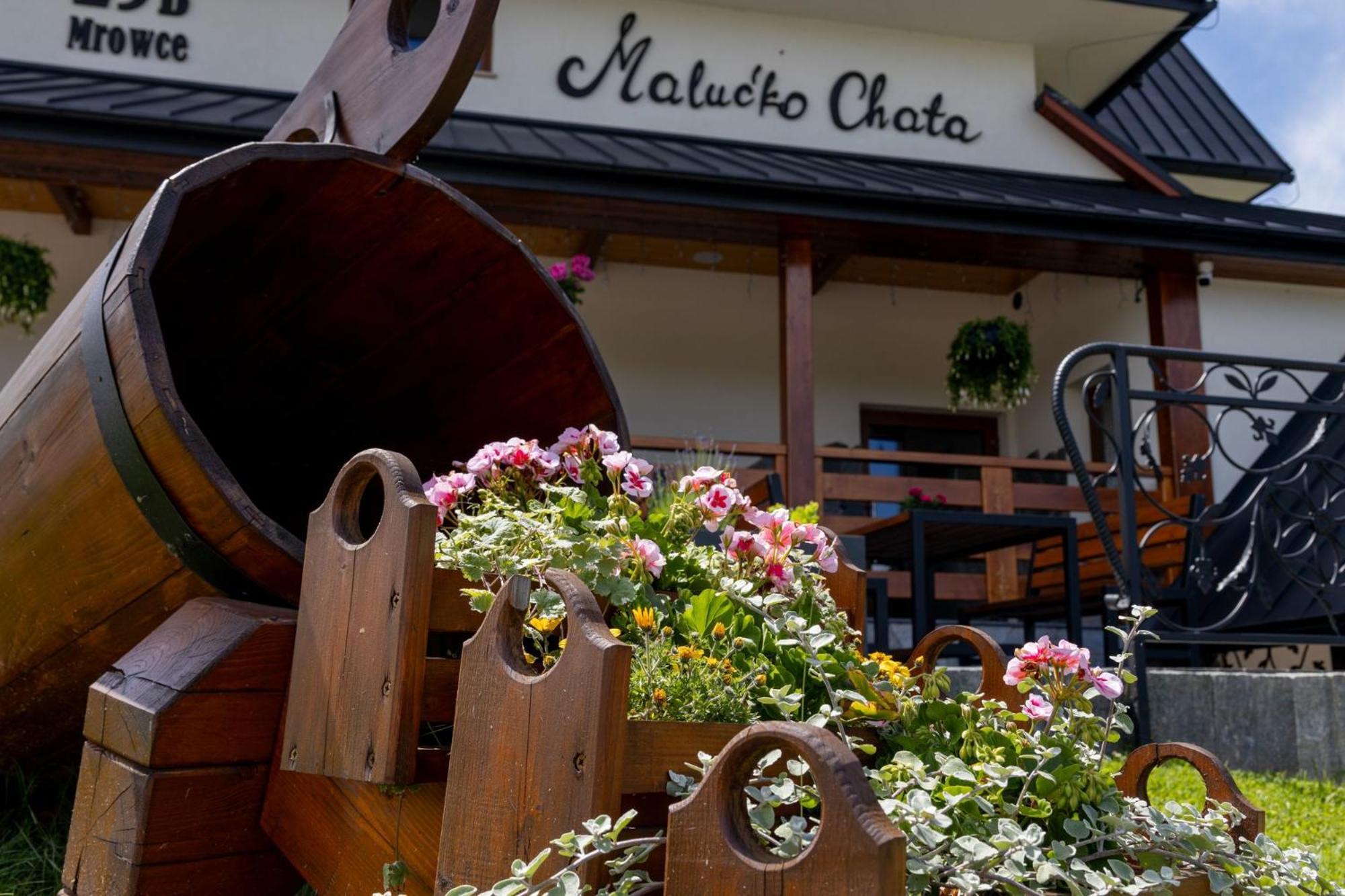 „Malucko Chata” Zakopane Esterno foto